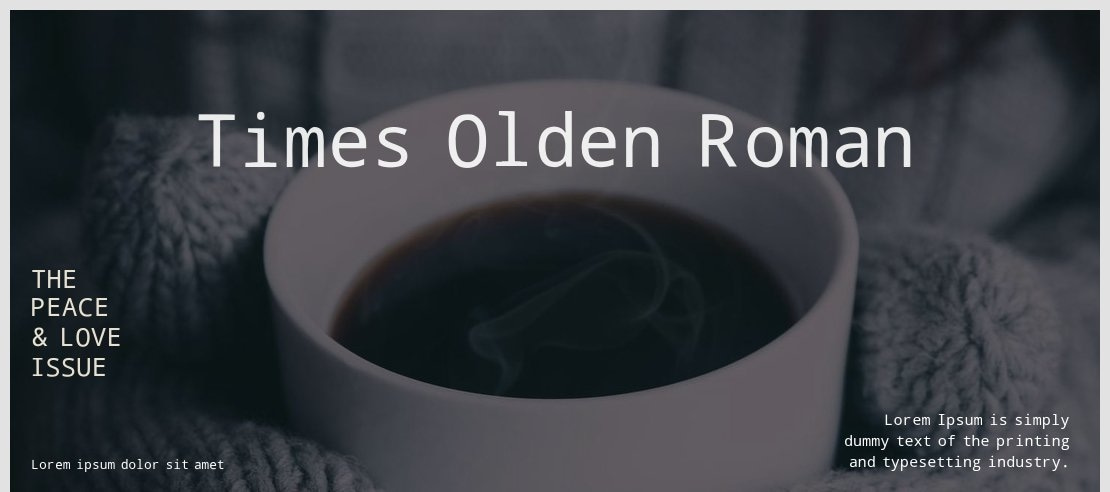 Times New Roman